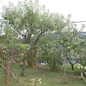 Tutnovo 13 Appartamento Fiume